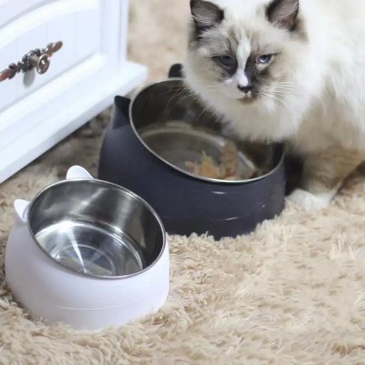 100ML Cat Dog Bowl