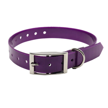 New Fashion Pet Dog Collar High Quality